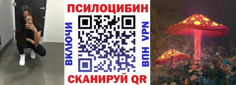Псилоцибиновые грибы Psilocybe  Купить закладки  Багратионовск 