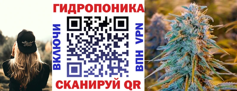 Каннабис Bruce Banner  Купить  Багратионовск 
